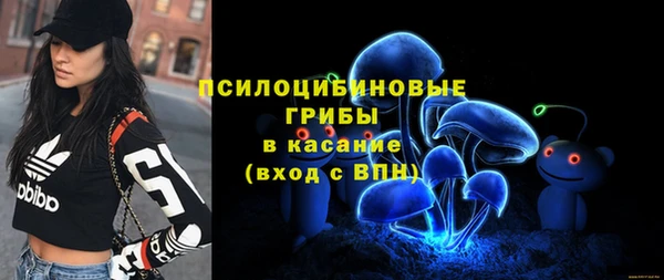 шишки Беломорск