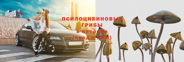 шишки Беломорск