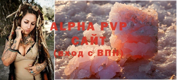 шишки Беломорск