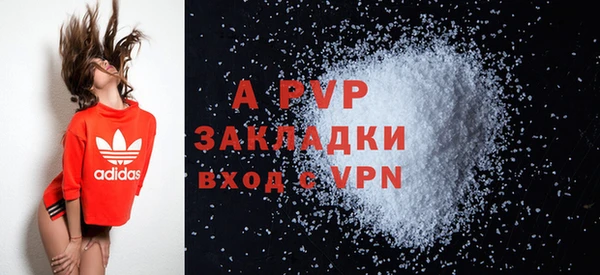 шишки Беломорск