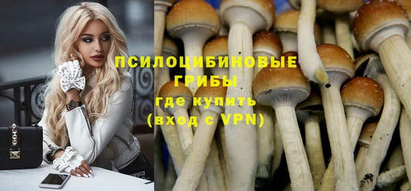 кокаин колумбия Богданович