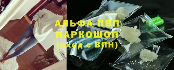 шишки Беломорск